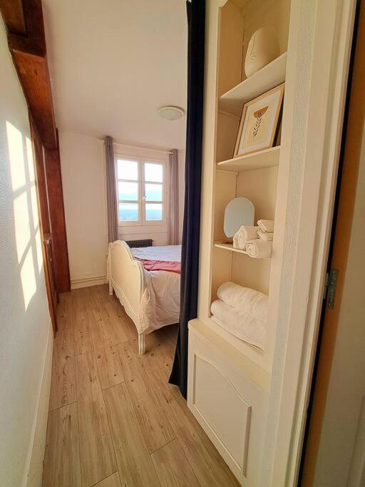 Charmant Duplex A Thiers, Vue Sur La Chaine Des Puys Екстер'єр фото